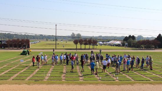 Picture of Turfgrass Research Field Day