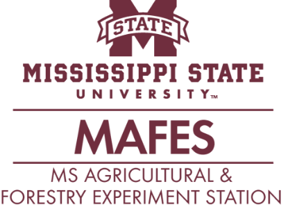 Picture of MAFES Supervisory Conference