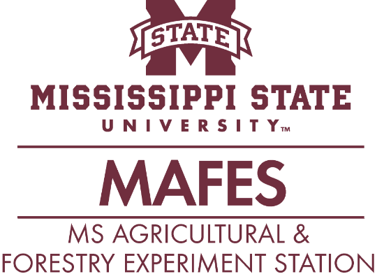 Picture of MAFES Supervisory Conference