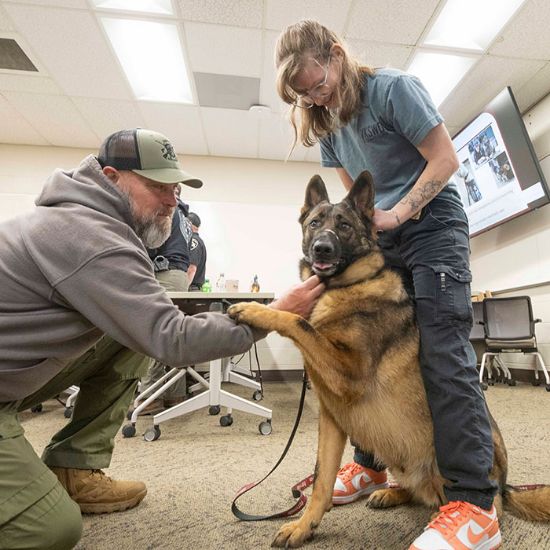 Trainers working with a dog
